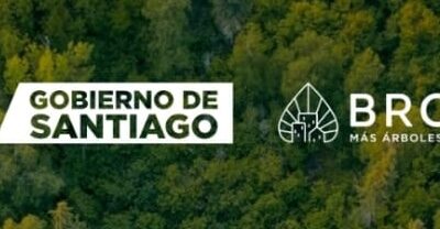 ¡Árboles nativos! Ganamos Proyecto Brotar GORE