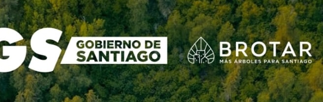 ¡Árboles nativos! Ganamos Proyecto Brotar GORE