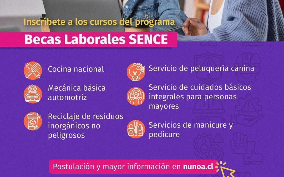 Cursos de Programa SENCE